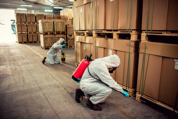 Best Pest Removal Services  in Fayetteville, AR