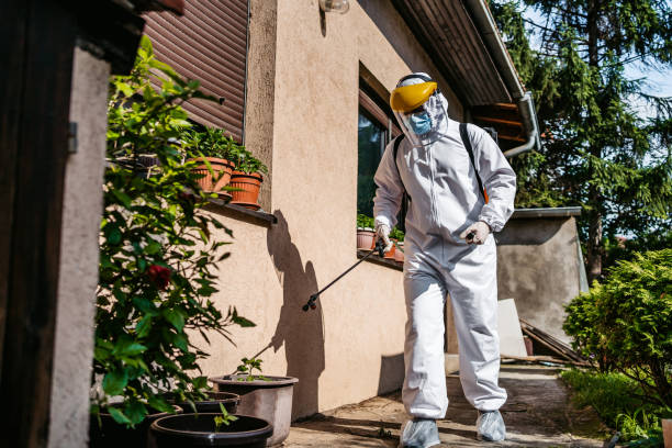 Best Spider Control Near Me  in Fayetteville, AR
