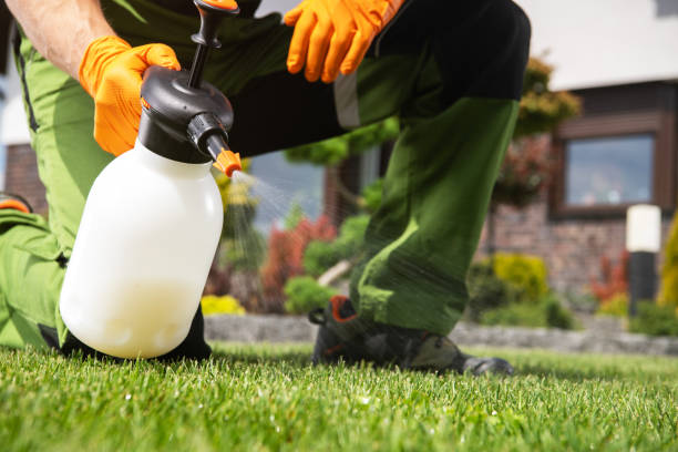 Best Pest Control Cost  in Fayetteville, AR