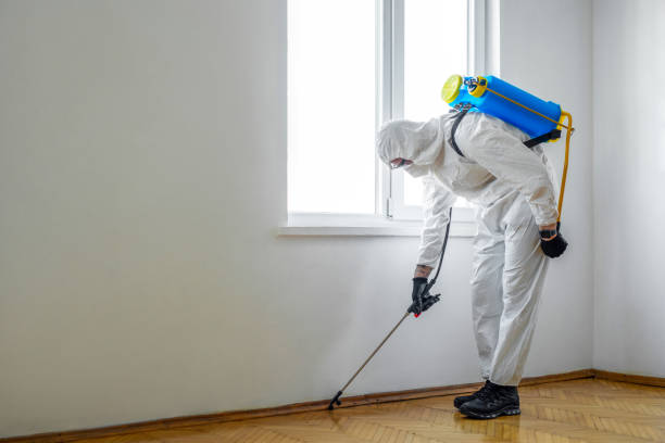 Best Flea Control Services  in Fayetteville, AR