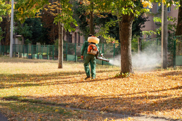 Best Residential Pest Control  in Fayetteville, AR