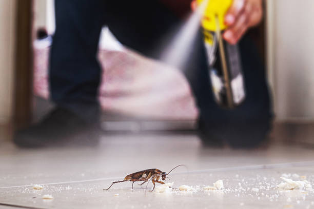 Best Best Pest Control Companies  in Fayetteville, AR
