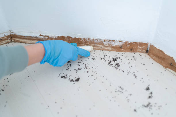Pest Control Cost in Fayetteville, AR