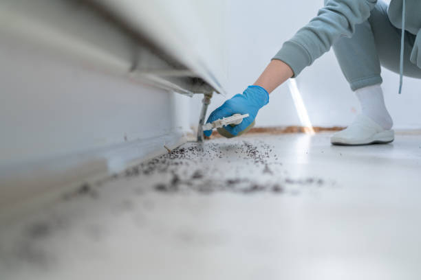 Best Exterminator Services  in Fayetteville, AR